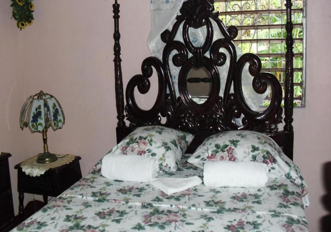 Kingston Airport Bed And Breakfast Екстериор снимка